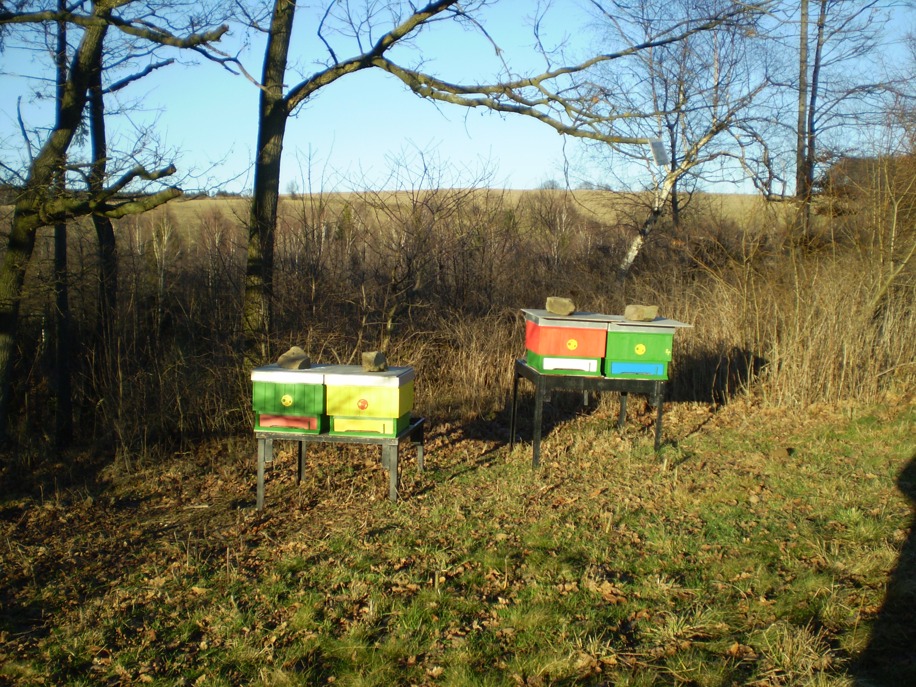podzim 2012
