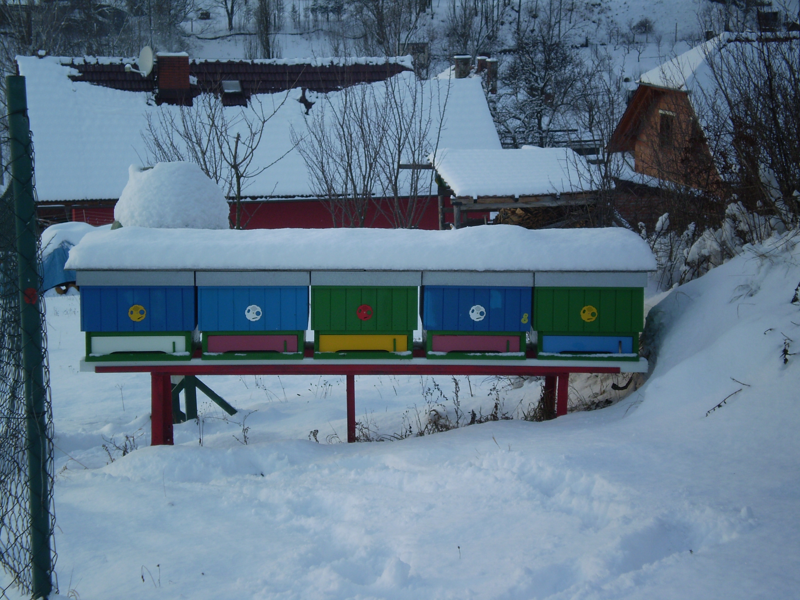 zima 2013